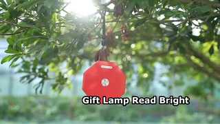 Lampada regalo, lampada da lettura